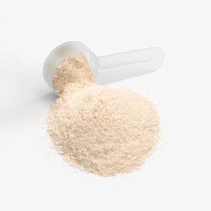 
                  
                    Load image into Gallery viewer, Hydration Electrolyte Powder (Lemonade)
                  
                